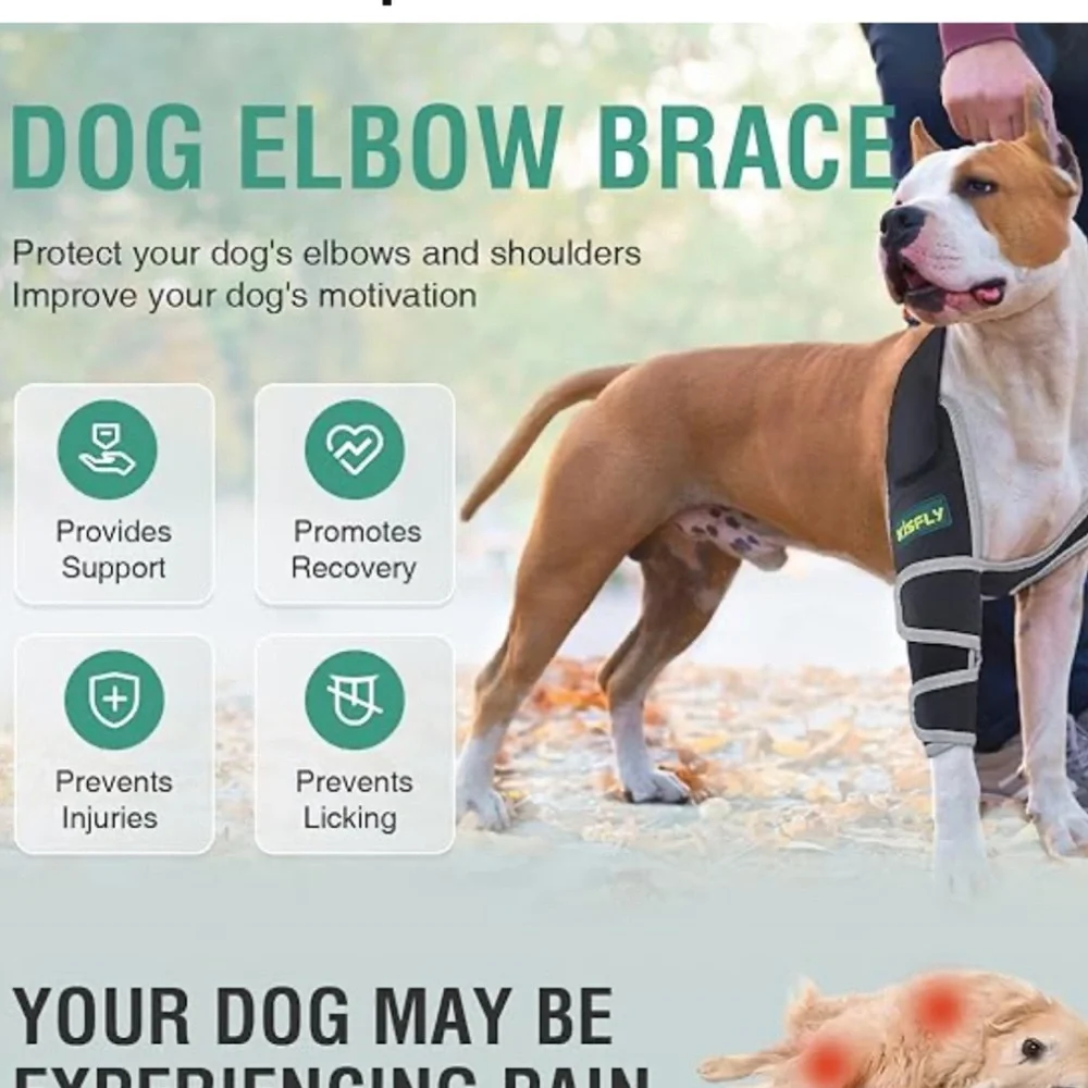 Dog Elbow Support Right Leg Brace